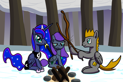 Size: 2048x1365 | Tagged: safe, artist:platinumdrop, imported from derpibooru, princess luna, oc, oc:emerald bolt, oc:platinumdrop, alicorn, pegasus, campfire, female, male, mare, snow, stallion, stick, winter