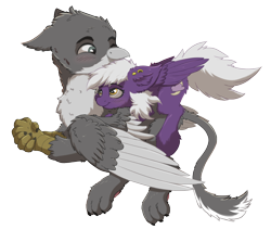 Size: 1378x1231 | Tagged: safe, artist:meow, artist:nighty, derpibooru exclusive, imported from derpibooru, oc, oc only, oc:nighty cloud, griffon, pegasus, pony, 2020 community collab, derpibooru community collaboration, blushing, cheek fluff, chest fluff, ear fluff, ear piercing, female, fluffy, flying, hand, male, oc x oc, paws, piercing, shipping, smiling, straight, transparent background, wings