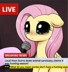 Size: 2655x2838 | Tagged: safe, artist:moozua, edit, imported from derpibooru, fluttershy, pegasus, pony, abuse, big eyes, blushing, crying, crying cat, cute, dark comedy, dilated pupils, exploitable meme, female, floppy ears, flutterbuse, hoof hold, hooves, implied anon, looking at you, mare, meme, microphone, missing cutie mark, news meme, offscreen character, ponified meme, sad, sadorable, shyabetes, solo focus, teary eyes, text