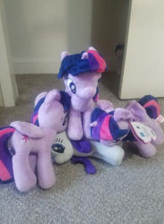 Size: 333x453 | Tagged: safe, imported from derpibooru, rarity, twilight sparkle, alicorn, pony, unicorn, closet, dubious consent, irl, multeity, photo, plushie, self ponidox, sparkle sparkle sparkle, tackle, twilight sparkle (alicorn)