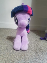 Size: 349x468 | Tagged: safe, imported from derpibooru, rarity, twilight sparkle, alicorn, unicorn, 4de, closet, irl, photo, photography, plushie, twilight sparkle (alicorn)