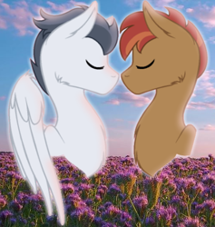 Size: 512x540 | Tagged: safe, artist:adamsadopts, artist:doodleponyxx, imported from derpibooru, button mash, rumble, earth pony, pegasus, pony, base used, boop, eyes closed, field, flower, gay, male, noseboop, older, older button mash, older rumble, rumblemash, shipping, sky, stallion