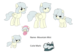Size: 1108x810 | Tagged: safe, artist:dudleybrittany1399, artist:selenaede, imported from derpibooru, oc, oc only, oc:mountain mist (ice1517), pegasus, pony, icey-verse, baby, baby pony, base used, eyes closed, female, filly, magical lesbian spawn, male, mare, offspring, parent:misty fly, parent:surprise, parents:mistyprise, raised hoof, reference sheet, rule 63, simple background, solo, stallion, white background