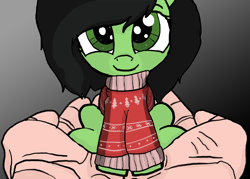 Size: 2100x1500 | Tagged: safe, artist:anon3mous1, imported from derpibooru, oc, oc:filly anon, earth pony, human, pony, christmas, christmas sweater, clothes, cute, female, filly, holding a pony, holiday, sweater