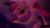 Size: 832x468 | Tagged: safe, artist:hellhounds04, artist:shelbysaucy, imported from derpibooru, pinkie pie, rarity, earth pony, pony, unicorn, 3d, animated, blushing, butt shake, cute, duo, female, gif, lesbian, lidded eyes, looking at each other, raripie, shipping, source filmmaker, tail wag