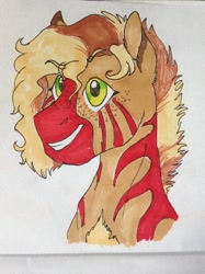 Size: 1024x1366 | Tagged: safe, artist:phobicalbino, imported from derpibooru, oc, oc only, oc:malir, pony, zebra, bust, female, mare, marker drawing, portrait, smiling, solo, traditional art, zebra oc