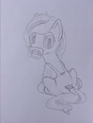 Size: 3024x4032 | Tagged: safe, artist:ldj, imported from derpibooru, oc, oc:aspen, pony, clothes, diaper, diaper fetish, fetish, looking at you, looking back, looking back at you, non-baby in diaper, overalls, pacifier, solo, traditional art