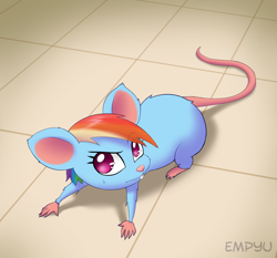 Size: 1000x933 | Tagged: safe, artist:empyu, imported from derpibooru, rainbow dash, rat, rodent, cute, female, looking at each other, looking at someone, looking at something, looking at you, mousified, rainbow mouse, raised eyebrow, solo, species swap