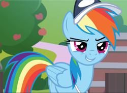 Size: 1283x940 | Tagged: safe, imported from derpibooru, screencap, rainbow dash, pegasus, pony, 2 4 6 greaaat, coach rainbow dash, cropped, determined, female, grin, hat, lidded eyes, mare, smiling, smirk, solo