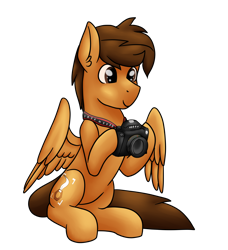 Size: 4230x4644 | Tagged: safe, artist:sevenserenity, imported from derpibooru, oc, oc only, oc:toanderic, pegasus, pony, 2020 community collab, derpibooru community collaboration, camera, male, simple background, sitting, solo, stallion, transparent background