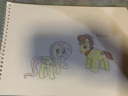 Size: 4032x3024 | Tagged: safe, artist:rohanartlife, imported from derpibooru, fluttershy, earth pony, pegasus, pony, crack shipping, crossover, female, male, mare, pixar, shipping, toy story, traditional art, woody, woodyshy