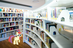 Size: 1957x1306 | Tagged: safe, artist:luckreza8, imported from derpibooru, moondancer, pony, unicorn, book, bookshelf, female, glasses, irl, library, photo, ponies in real life, solo