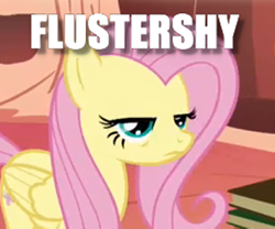 Size: 360x300 | Tagged: safe, edit, edited screencap, imported from derpibooru, screencap, fluttershy, pegasus, pony, bridle gossip, book, caption, cropped, female, flustered, flustershy, golden oaks library, image macro, impact font, mare, pun, solo, text, unamused