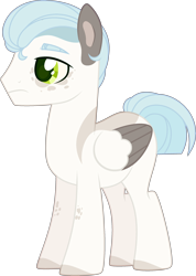 Size: 2035x2855 | Tagged: safe, artist:rerorir, imported from derpibooru, oc, oc only, oc:richard (rerorir), pegasus, pony, female, male, simple background, solo, stallion, transparent background