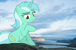 Size: 2400x1600 | Tagged: safe, artist:junkiesnewb, artist:thegiantponyfan, imported from derpibooru, lyra heartstrings, pony, unicorn, amused, female, giant lyra heartstrings, giant pony, giantess, highrise ponies, irl, lyra is amused, macro, mare, mega lyra, photo, plane, ponies in real life, valley, water