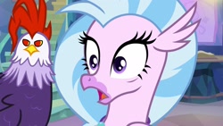 Size: 1920x1080 | Tagged: safe, imported from derpibooru, screencap, edith (cockatrice), silverstream, cockatrice, hippogriff, student counsel, duo, edith, female, red eyes, treehouse of harmony
