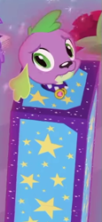 Size: 251x545 | Tagged: safe, imported from derpibooru, screencap, spike, spike the regular dog, dog, equestria girls, equestria girls series, street magic with trixie, spoiler:eqg series (season 2), box, collar, cropped, male, spike's dog collar