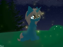 Size: 1600x1200 | Tagged: safe, artist:wulfieshydev, imported from derpibooru, oc, oc only, oc:blue moon, firefly (insect), pony, unicorn, :o, background, chest fluff, commission, ear fluff, female, filly, fluffy, grass, hooves, night, open mouth, photo, sitting, solo, stars, tree