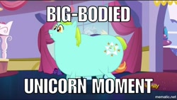 Size: 1000x563 | Tagged: safe, edit, edited screencap, imported from derpibooru, screencap, whoa nelly, pony, canterlot boutique, big lipped alligator moment, caption, fat, image macro, meme, nostalgia critic, positive body image, text