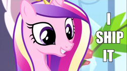 Size: 1100x618 | Tagged: safe, edit, edited screencap, imported from derpibooru, screencap, princess cadance, alicorn, pony, equestria games (episode), season 4, bust, caddy ships it, cute, cutedance, female, grin, i ship it, mare, meme, portrait, princess of love, princess of shipping, shipper on deck, smiling, solo