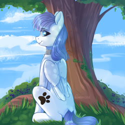 Size: 1280x1280 | Tagged: safe, artist:neonishe, imported from derpibooru, oc, oc only, oc:snow pup, pegasus, pony, collar, paw prints, sitting, solo, tree, ych result