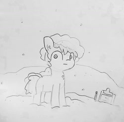 Size: 1402x1380 | Tagged: safe, artist:tjpones, imported from derpibooru, oc, oc only, oc:tjpones, earth pony, pony, black and white, chest fluff, clipboard, ear fluff, ear piercing, grayscale, lineart, male, monochrome, piercing, simple background, snow, solo, stallion, thousand yard stare, traditional art
