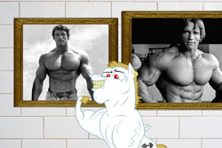 Size: 1100x734 | Tagged: safe, artist:balabinobim, imported from derpibooru, bulk biceps, human, pegasus, pony, arnold schwarzenegger, bodybuilder, ear piercing, earring, grayscale, jewelry, male, monochrome, muscles, piercing, stallion, vein