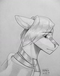 Size: 1040x1304 | Tagged: safe, artist:peppach, imported from derpibooru, oc, oc only, oc:light knight, pony, bust, monochrome, solo, traditional art