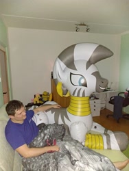 Size: 4032x3024 | Tagged: safe, artist:arniemkii, imported from derpibooru, zecora, horse, pony, zebra, bootleg, evening, female, hongyi, inflatable, inflatable toy, inflatable zebra, inflation, mare, my little pony, pet, relaxing
