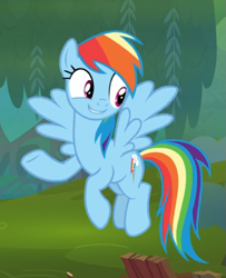 Size: 511x629 | Tagged: safe, imported from derpibooru, screencap, rainbow dash, pegasus, pony, the end in friend, cropped, cute, female, flying, smiling, solo