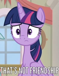 Size: 828x1061 | Tagged: safe, imported from derpibooru, screencap, twilight sparkle, alicorn, pony, the end in friend, caption, female, image macro, meme, reaction image, sitting, solo, text, twilight sparkle (alicorn)