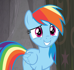 Size: 989x936 | Tagged: safe, imported from derpibooru, screencap, rainbow dash, pegasus, pony, the end in friend, cropped, female, smiling, solo