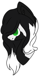 Size: 408x753 | Tagged: safe, artist:lalagirl144d, imported from derpibooru, oc, oc only, oc:gypsy vanner, gypsy vanner, pony, bust, portrait, simple background, solo, transparent background