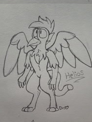 Size: 2576x1932 | Tagged: safe, artist:drheartdoodles, imported from derpibooru, oc, oc:helios, anthro, griffon, chest fluff, fluffy, spread wings, standing, wheres the cock, wings