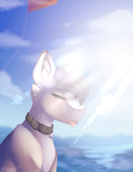 Size: 1842x2370 | Tagged: safe, artist:mauuwde, imported from derpibooru, oc, oc only, oc:charlie, pony, bust, lens flare, male, ocean, portrait, solo, stallion