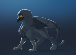 Size: 2000x1455 | Tagged: safe, artist:vistamage, imported from derpibooru, oc, oc only, oc:amber shadow, griffon, blue background, cheek fluff, chest fluff, fluffy, gradient background, griffon oc, leg fluff, lidded eyes, looking at you, male, profile, simple background, smiling, smirk, solo, spread wings, wings, yellow sclera