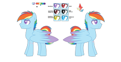 Size: 6472x3312 | Tagged: safe, artist:dashblitzfan4ever, imported from derpibooru, rainbow dash, pegasus, pony, male, rainbow blitz, reference sheet, rule 63, simple background, solo, stallion, transparent background