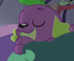 Size: 573x473 | Tagged: safe, imported from derpibooru, screencap, spike, spike the regular dog, dog, equestria girls, legend of everfree, cropped, eyes closed, male, sleeping, smiling, solo
