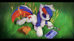 Size: 3160x1778 | Tagged: safe, artist:hitbass, imported from derpibooru, oc, oc only, oc:marussia, earth pony, pony, cute, female, grass, lying down, mare, nation ponies, paint, paintbrush, ponified, prone, russia, solo