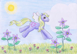 Size: 1280x913 | Tagged: safe, artist:normaleeinsane, imported from derpibooru, yum yum, pony, female, flower, g1, solo, traditional art