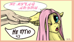 Size: 3840x2160 | Tagged: safe, artist:danton-y17, imported from derpibooru, fluttershy, human, pony, adorable distress, cute, cyrillic, duo, ear fluff, ear grab, female, mare, one eye closed, russian, translated in the description