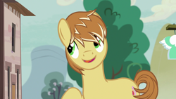 Size: 1280x720 | Tagged: safe, imported from derpibooru, screencap, feather bangs, earth pony, pony, hard to say anything, cutie mark, male, smiling, stallion