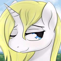 Size: 3000x3000 | Tagged: safe, artist:dashy21, imported from derpibooru, oc, oc only, oc:dream puff, pony, unicorn, bust, female, mare, one eye closed, portrait, solo