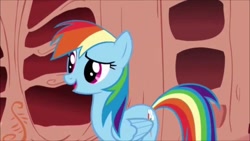 Size: 1280x720 | Tagged: safe, imported from derpibooru, screencap, rainbow dash, pony, sonic rainboom (episode), female, golden oaks library, mare, raised eyebrow, solo