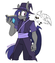 Size: 659x761 | Tagged: safe, artist:redxbacon, imported from derpibooru, oc, oc only, oc:dusk rhine, anthro, bat pony, bird, owl, book, hat, male, robes, solo, spellbook