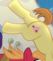 Size: 626x720 | Tagged: safe, imported from derpibooru, screencap, big macintosh, feather bangs, pony, hard to say anything, cropped, cutie mark, hooves, legs, male, pictures of legs, stallion