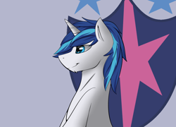 Size: 2500x1800 | Tagged: safe, artist:snowstormbat, imported from derpibooru, shining armor, pony, unicorn, chin fluff, cutie mark, looking offscreen, male, simple background, smiling, solo, stallion