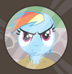 Size: 3400x3467 | Tagged: safe, artist:phucknuckl, imported from derpibooru, rainbow dash, pegasus, pony, female, fisheye lens, looking at you, mare, peephole, solo, unamused