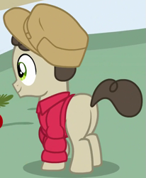 Size: 495x600 | Tagged: safe, imported from derpibooru, screencap, gnarly burl, pony, best gift ever, male, solo