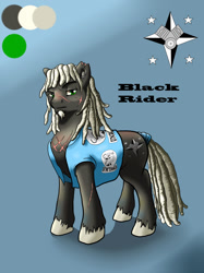 Size: 1024x1366 | Tagged: safe, artist:steveskunk, imported from derpibooru, oc, oc:black rider, pony, biker, charsheet, dreadlocks, looking at you